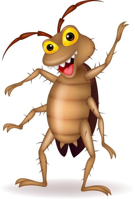 蟑螂的天敌是什么（蟑螂的天敌是什么可以养在家里）