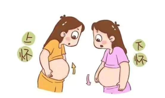 怀男孩的肚子大还是怀女孩的肚子大（怀男孩和怀女孩哪个显怀）