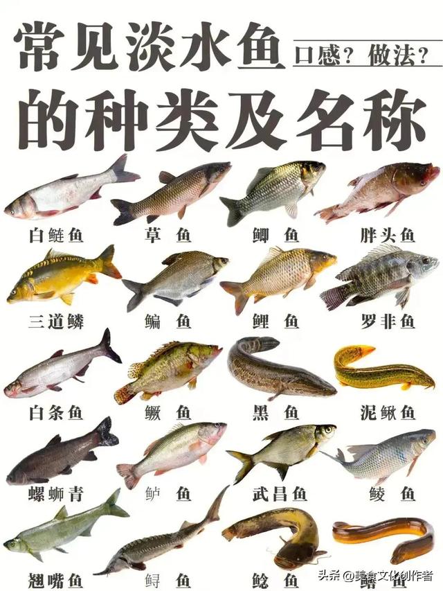 常见的鱼类和做法,清蒸秋刀鱼的做法